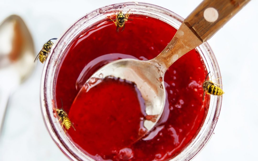 Honeypots — Jusqu’où pouvez-vous aller pour faire perdre du temps à un pirate informatique ?